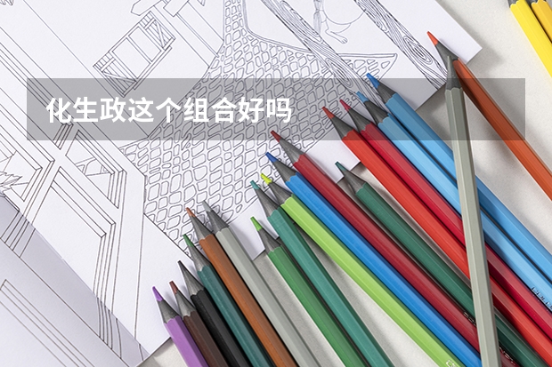 化生政这个组合好吗