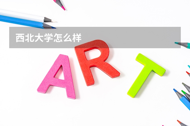 西北大学怎么样