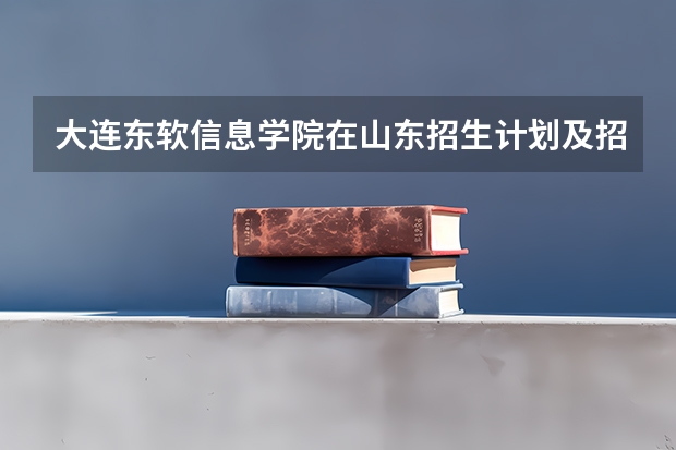 大连东软信息学院在山东招生计划及招生人数 都招什么专业