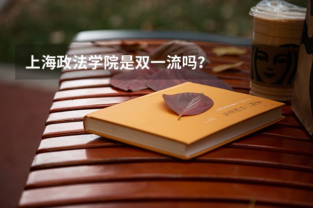 上海政法学院是双一流吗？