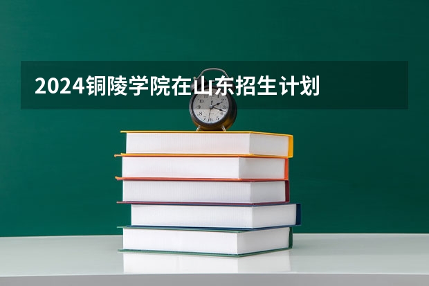 2024铜陵学院在山东招生计划