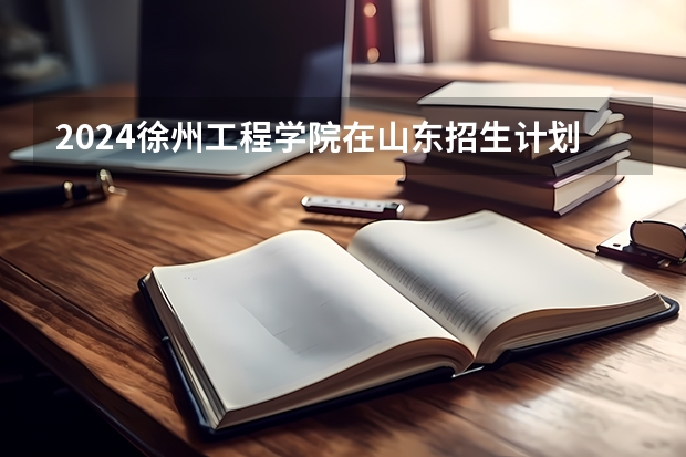 2024徐州工程学院在山东招生计划