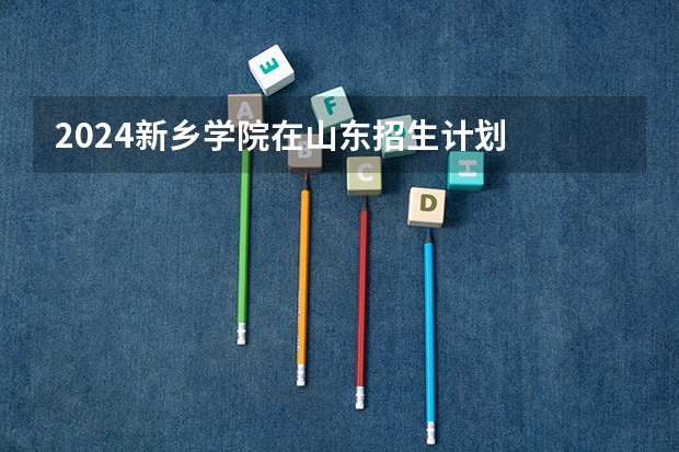 2024新乡学院在山东招生计划