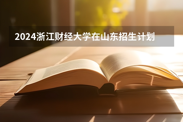 2024浙江财经大学在山东招生计划