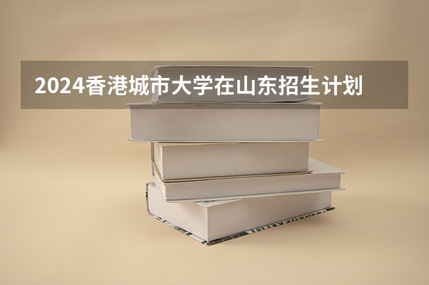 2024香港城市大学在山东招生计划
