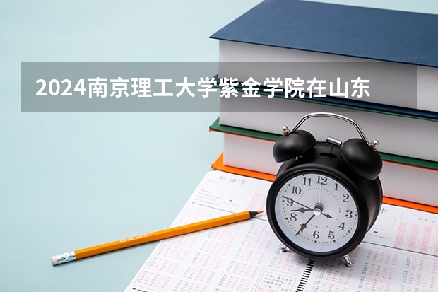 2024南京理工大学紫金学院在山东招生计划