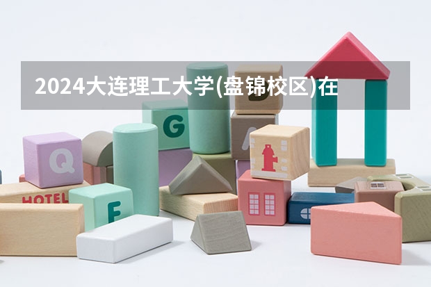 2024大连理工大学(盘锦校区)在山东招生计划