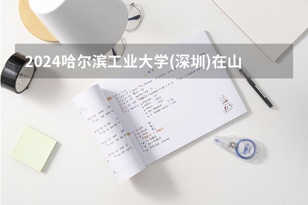 2024哈尔滨工业大学(深圳)在山东招生计划