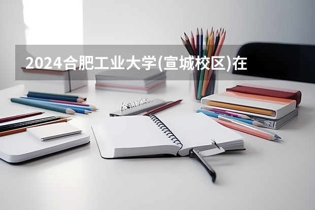 2024合肥工业大学(宣城校区)在吉林招生计划