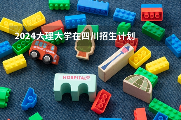 2024大理大学在四川招生计划