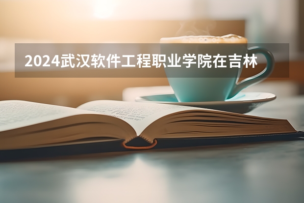 2024武汉软件工程职业学院在吉林招生计划