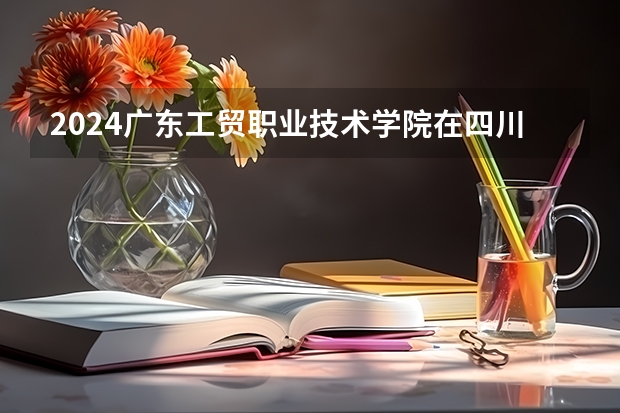 2024广东工贸职业技术学院在四川招生计划