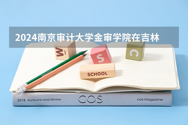 2024南京审计大学金审学院在吉林招生计划