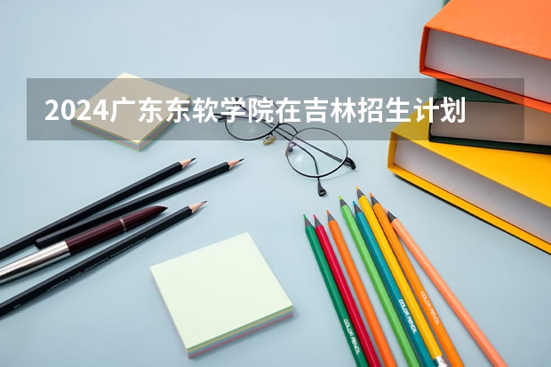 2024广东东软学院在吉林招生计划