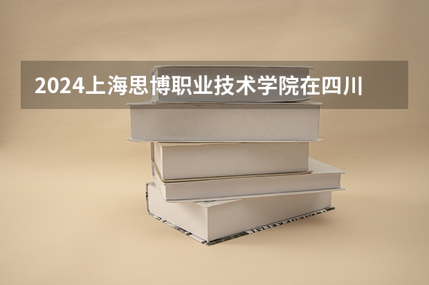 2024上海思博职业技术学院在四川招生计划