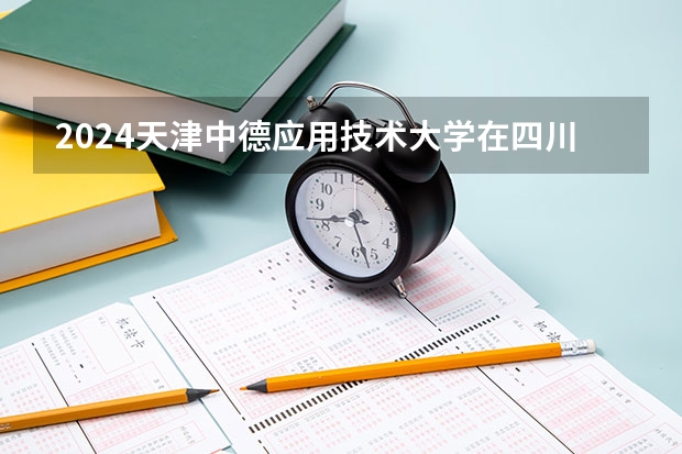 2024天津中德应用技术大学在四川招生计划