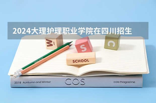 2024大理护理职业学院在四川招生计划
