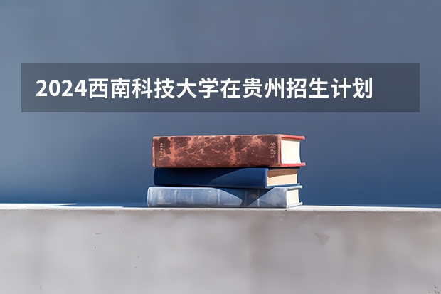 2024西南科技大学在贵州招生计划