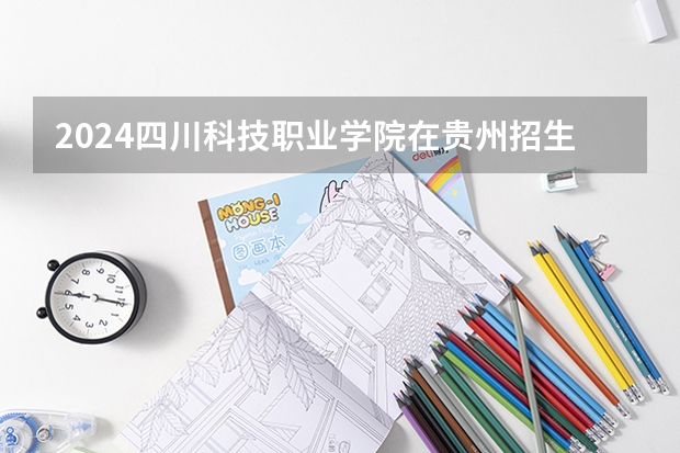 2024四川科技职业学院在贵州招生计划
