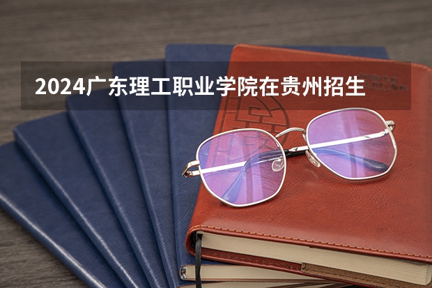 2024广东理工职业学院在贵州招生计划
