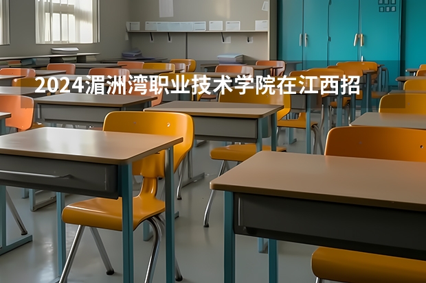 2024湄洲湾职业技术学院在江西招生计划