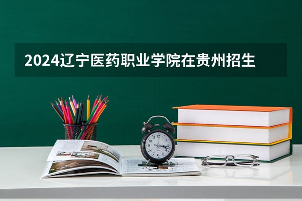 2024辽宁医药职业学院在贵州招生计划