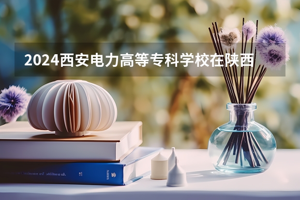 2024西安电力高等专科学校在陕西招生计划