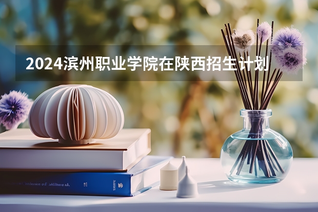 2024滨州职业学院在陕西招生计划