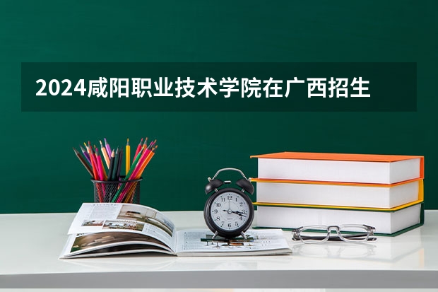 2024咸阳职业技术学院在广西招生计划