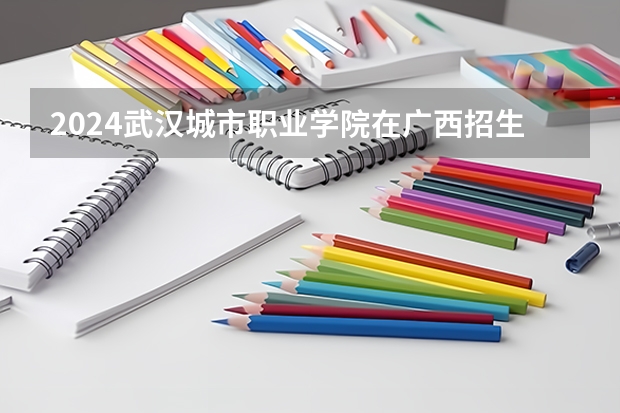 2024武汉城市职业学院在广西招生计划