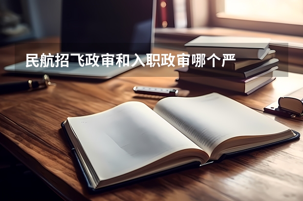 民航招飞政审和入职政审哪个严