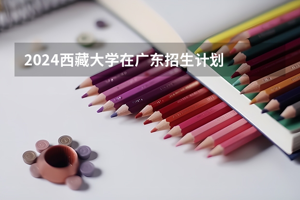 2024西藏大学在广东招生计划