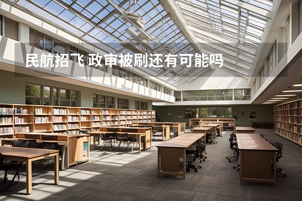 民航招飞 政审被刷还有可能吗