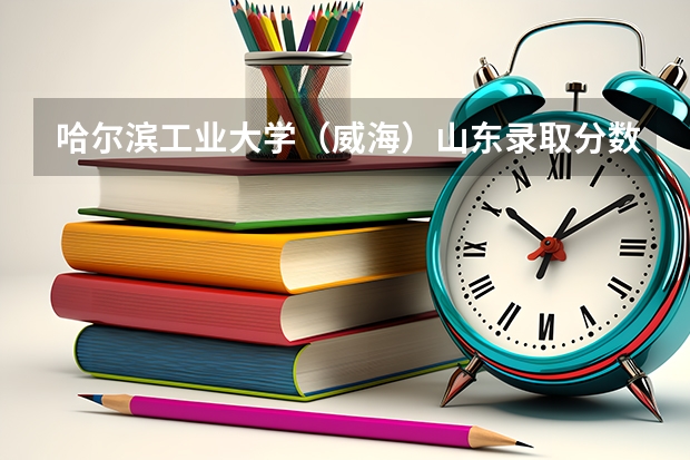 哈尔滨工业大学（威海）山东录取分数线详解