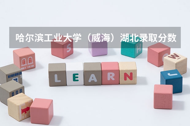 哈尔滨工业大学（威海）湖北录取分数线详解