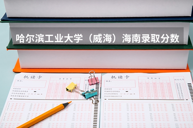 哈尔滨工业大学（威海）海南录取分数线详解